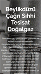 Mobile Screenshot of beylikduzutesisat.com